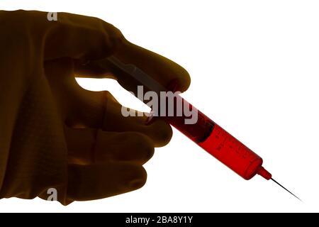 Syringe with red liquid held in a gloved hand. Close up backlit silhouette image isolated on white background. Selective focus. Stock Photo