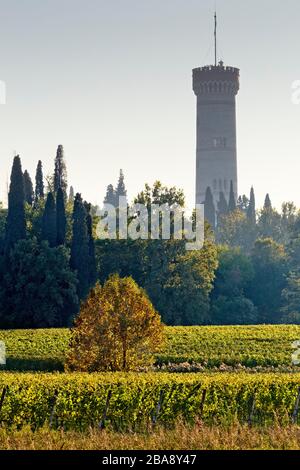 Vineyards of San Martino della Battaglia DOC wine. In the background the monumental tower of the Italian Risorgimento. Lombardy, Italy. Stock Photo