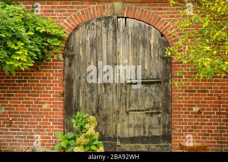 Ancient weathered barn's door. Nice red bricks wall with green foliage. Stock Photo
