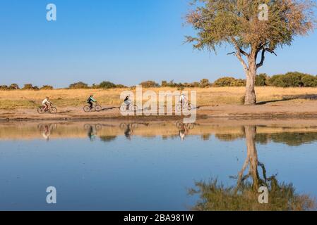 Tourists ride bicycles in Hwange National Park Zimbabwe. Stock Photo