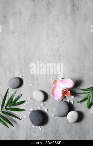 Spa concept on stone background, palm leaves, flower and zen, grey stones, top view, copy space Stock Photo