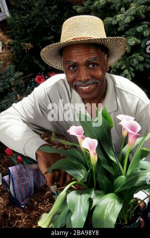 African American middle aged man in hat in garden, portrait Stock Photo