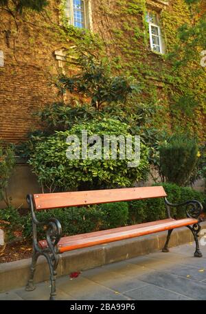 Vertical image of an empty wooden bench with blurry plants covered vintage building in the backdrop Stock Photo