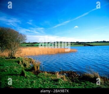 Kenfig Pool, Kenfig National Nature Reserve near Porthcawl, Bridgend, South Wales. Stock Photo