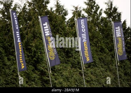 A general view of William Hill flags on flagpoles at Kempton Park Racecourse Stock Photo