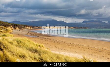 Newborough beach and sand dunes with the snow covered Snowdonia mountains in the background Stock Photo