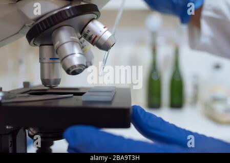 Close up of sample on microscope in winery laboratory. Stock Photo