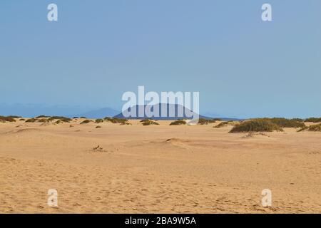 Views of the golden dunes of Corralejo with vegetation and footsteps on the ground and in the background the mountain of Isla de Lobos on a clear day Stock Photo