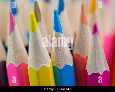 A lot of colored pencils in a close-up Stock Photo