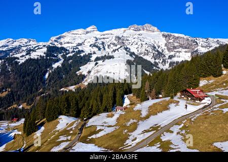Landscape of the  Swiss Prealps in spring, view to the snow-covered peaks Tour de Mayen and Tour de Famelon, Ormont-Dessous, Vaud, Switzerland Stock Photo