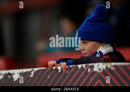 A young Brighton and Hove Albion fan watching during the game Stock Photo