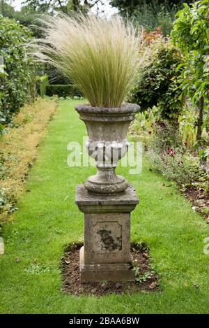 stipa tenuissima (mexican feather grass) Stock Photo