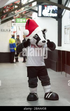 Fulham mascot Billy the Badger poses for photographs Stock Photo