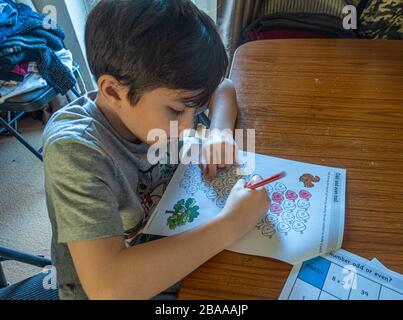 A young boy colouring in odd numbered shapes as part of a home schooling exercise. He is learning from home due to coronavirus.