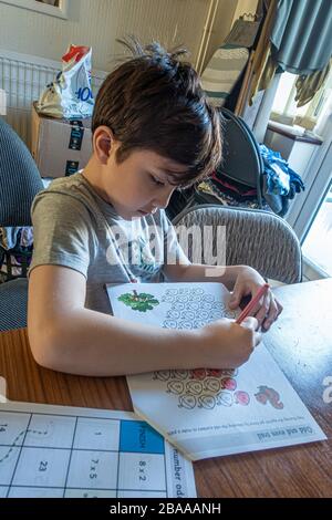 A young boy colouring in odd numbered shapes as part of a home schooling exercise. He is learning from home due to coronavirus.