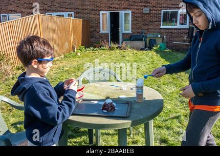 Young brothers simulate a volcanic eruption using bicarbonate of soda and vinegar in a model volcano. Stock Photo