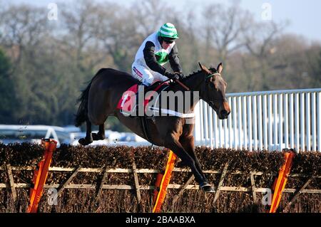 Golden Hoof ridden by jockey Barry Geraghty jumps the last on the way to winning the John Oakley 50th Birthday 'National Hunt' Novices' Hurdle. Stock Photo