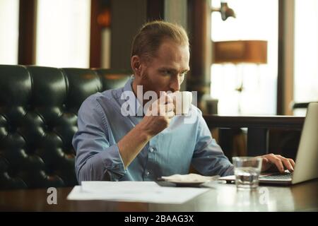 Bearded mature businessman drinking coffee while working on laptop computer at the table in coffee shop Stock Photo