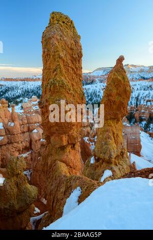 USA, Southwest, Colorado Plateau,Utah,Bryce Canyon, National Park Stock Photo