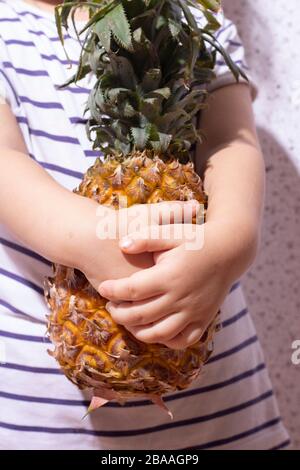Female hands holding ripe pineapple, vertical photo Stock Photo