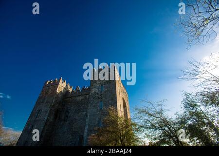 The famous Bunratty castle on a clear blue sky day, County Clare, Ireland Stock Photo