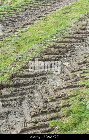 Deep ridges in mud made by tractor tyres / tires on grass. Tyre tracks, making tracks, stick in the mud, muddy texture, muddy surface, mud, winter mud Stock Photo