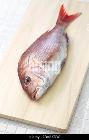 Tai (red snapper)