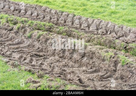 Deep ridges in mud made by tractor tyres / tires on grass. Tyre tracks, making tracks, stick in the mud, muddy texture, muddy surface, mud, winter mud Stock Photo