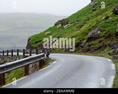 Faroe Islands. Road between green fields. In the background sheeps climbing the slope. Hazy landscape. Stock Photo