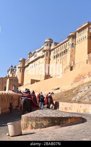 Elephants carrying tourists to Amber Fort, Jaipur, Rajasthan, India Stock Photo