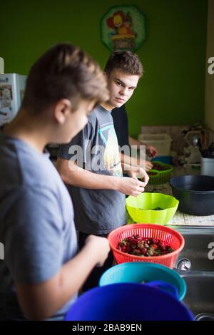 Two young men preparing food in kitchen Stock Photo