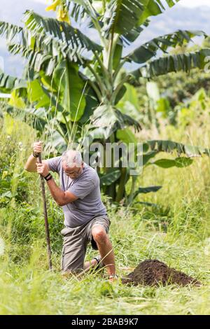 Elderly man digging deep hole with shovel outdoors. Stock Photo