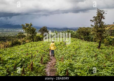 Young woman wearing yellow hiking on lush green hillside. Stock Photo