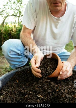 Gardener filling a pot with fresh compost