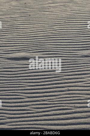 The horizontal rippled texture of sand dunes at the beach. Stock Photo