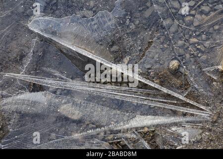 Fragile semi-transparent ice on small stream early in the morning, with submerged small rocks. The water of the creek percolated into the ground, leav Stock Photo