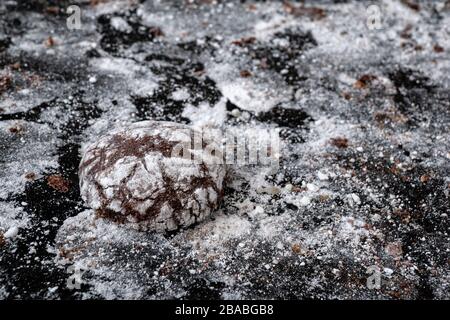 Freshly backed chocolate brownies at baking sheet. Tasty cookies on baking tray. Holiday baking concept. Stock Photo