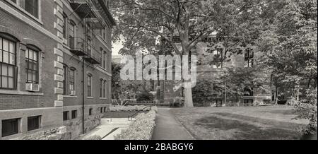 Buildings at Harvard University, Cambridge, Massachusetts, USA Stock Photo