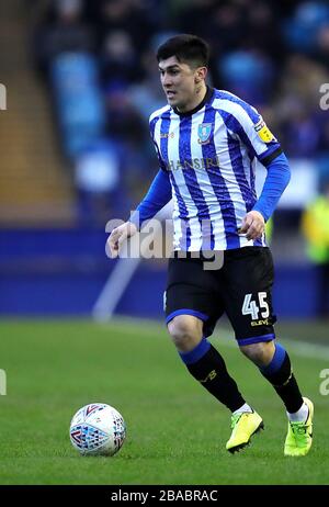 Sheffield Wednesday's Fernando Forestieri Stock Photo