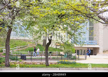 Alley and building in Lincoln Park Zoo, Lincoln Park, Chicago, Illinois, USA Stock Photo