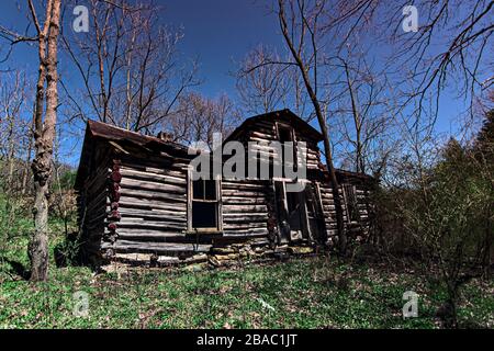 Dilapidated abandoned log cabin shack falling down in the forest woods at sunset sunrise with no person around. Stock Photo