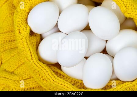 white chicken eggs in yellow wool sweater. lot of white eggs close up. Stock Photo