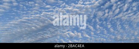 Blue sky with lots small clouds. panorama picture. Stock Photo