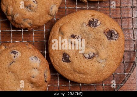 Looking down on chocolate chip cookies cooling on a wire rack on a wood table. Stock Photo