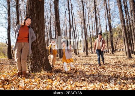 Happy families in outdoor play hide-and-seek Stock Photo