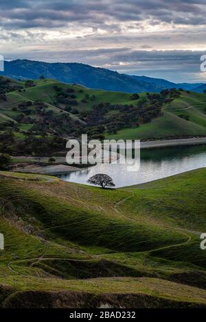 Del Valle Regional Park at Sunrise Stock Photo