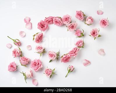 Beautiful Round frame from rose flowers on white background with copy space for design, text. Top view of pink roses and rose buds. Stock Photo