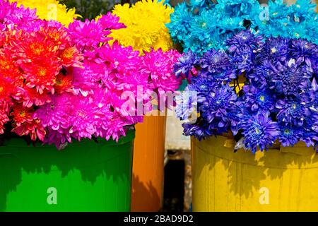 Flower market on Jalan Masjid Kapitan Keling Street,Georgetown,Penang Island,Malaysia Stock Photo