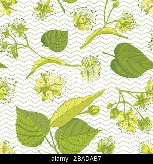 Linden blossom hand drawn seamless pattern with flower, lives and branch in yellow and green colors on white background. Retro vintage graphic design Stock Vector