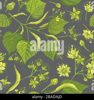 Linden blossom hand drawn seamless pattern with flower, lives and branch in yellow and green colors on gray background. Retro vintage graphic design Stock Vector